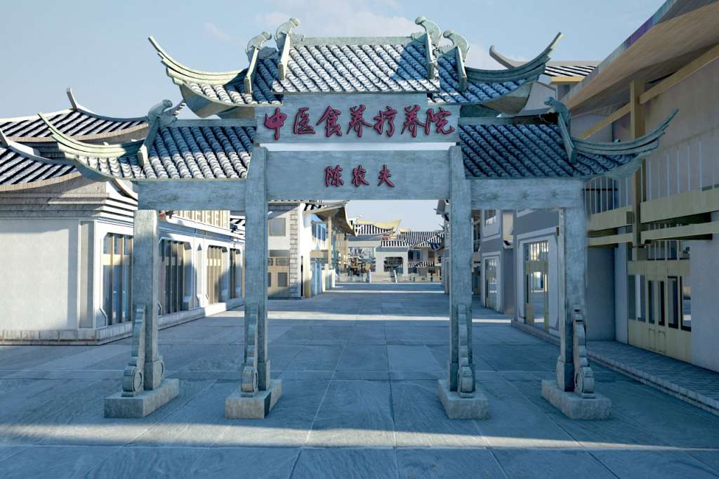 医学的下一个阶段是无创、无痛的中医食疗康复阶段