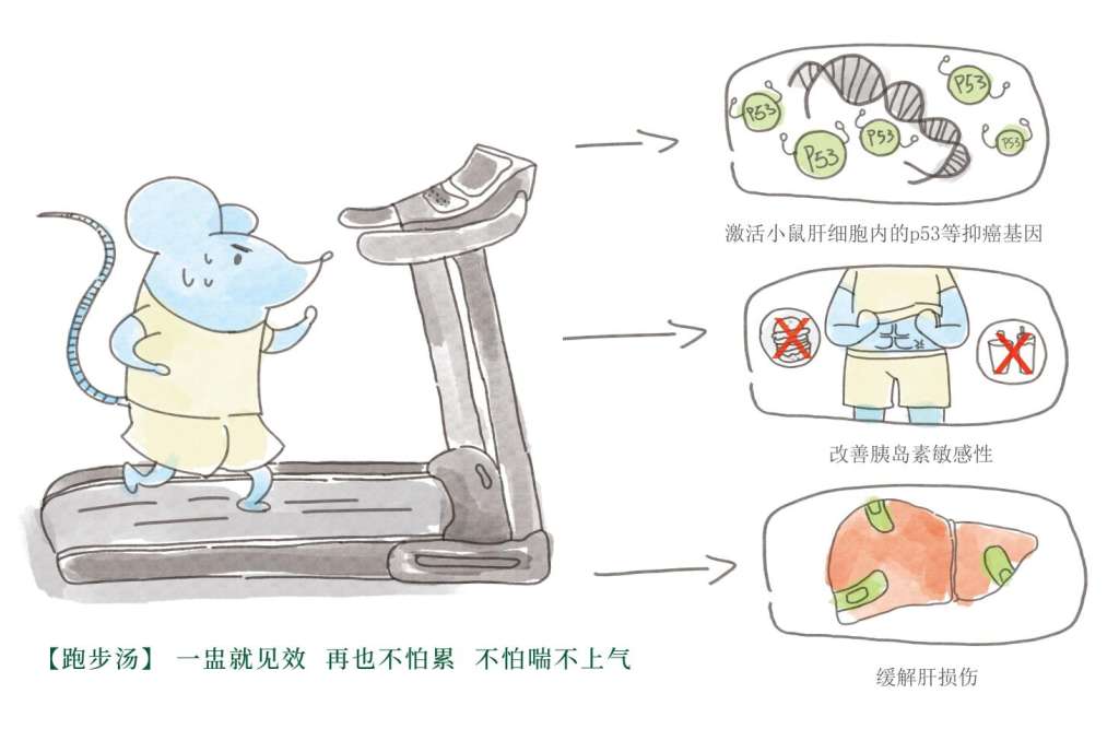陈农夫药膳跑步汤，再也不怕跑步了
