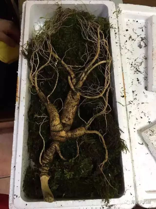 陈农夫药膳汤到湖南桂阳了,因人养生赶紧约一波...... 陈农夫药膳汤到湖南桂阳了,因人养生赶紧约一波......