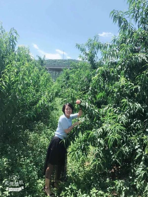 陈农夫药膳汤到湖南桂阳了,因人养生赶紧约一波...... 陈农夫药膳汤到湖南桂阳了,因人养生赶紧约一波......