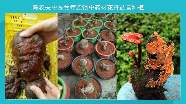 这座中医食疗文化小镇为何能火爆全国! 这座中医食疗文化小镇为何能火爆全国!